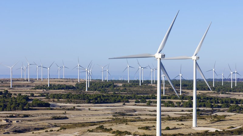 Some wind farms are can be better characterized as wind turbine forests. (Source: © pedrosala / stock.adobe.com)
