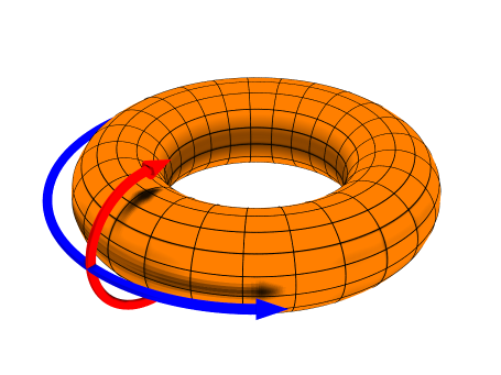 Toroidal (blue) and poloidal (red) coordinates. (Source: DaveBurke, Wikipedia.org) Toroidal (blue) and poloidal (red) coordinates. (Source: DaveBurke, Wikipedia.org)