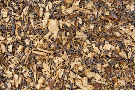 Wood chips — freshly processed waste dendromass. (Source: © Mike / stock.adobe.com) Wood chips — freshly processed waste dendromass. (Source: © Mike / stock.adobe.com)