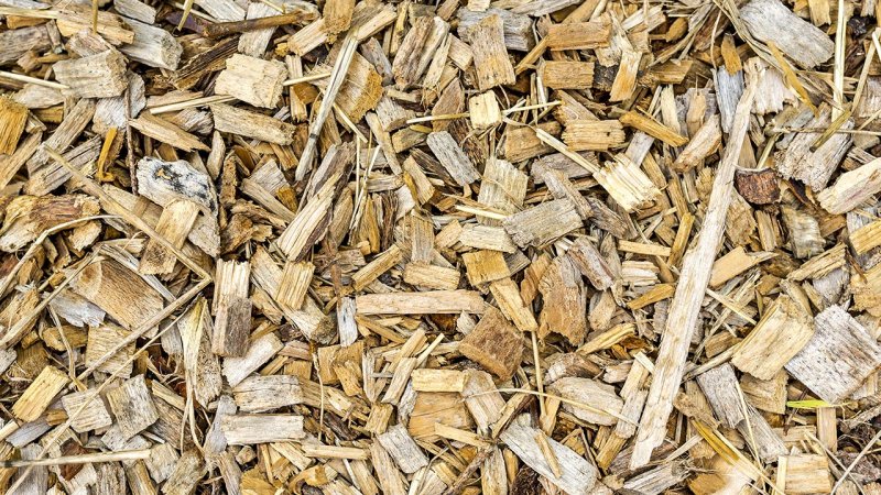 Ground wood waste — wood chips. (Source: © Gajus / stock.adobe.com)