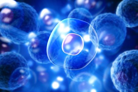 Cells are basic building blocks of non-fossil biological material. (Source: © BillionPhotos.com / stock.adobe.com) Cells are basic building blocks of non-fossil biological material. (Source: © BillionPhotos.com / stock.adobe.com)