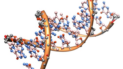 Effects of Ionizing Radiation