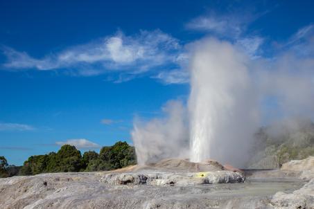 A geyser in the Whakarewarewa geothermal region, in the middle of the North Island of New Zealand. (Source: © Tomtsya / stock.adobe.com) A geyser in the Whakarewarewa geothermal region, in the middle of the North Island of New Zealand. (Source: © Tomtsya / stock.adobe.com)