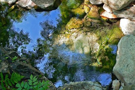 A spring of healing radon water is used in radioactive spas. It is the result of the seepage of precipitation water through layers of rocks rich in uranium. (Source: © Valeriy Kirsanov / stock.adobe.com) A spring of healing radon water is used in radioactive spas. It is the result of the seepage of precipitation water through layers of rocks rich in uranium. (Source: © Valeriy Kirsanov / stock.adobe.com)