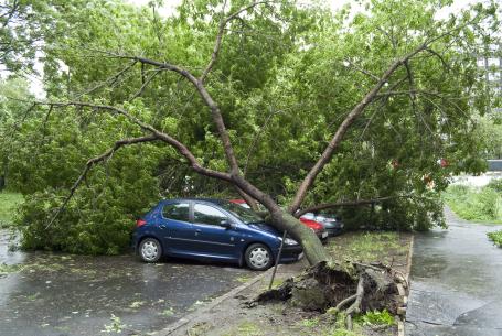 A whole gale, storm: Seldom experienced inland, trees are uprooted, considerable structural damage occurs. Wind speed: 89—102 km/h, wave height: 6—9 m (Source: © klz / stock.adobe.com) A whole gale, storm: Seldom experienced inland, trees are uprooted, considerable structural damage occurs. Wind speed: 89—102 km/h, wave height: 6—9 m (Source: © klz / stock.adobe.com)