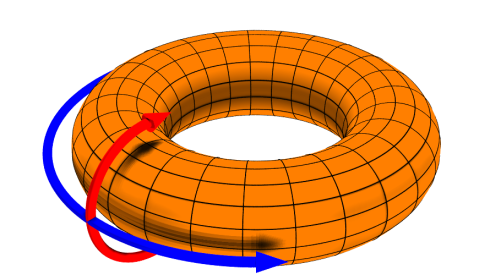 Toroidal Field